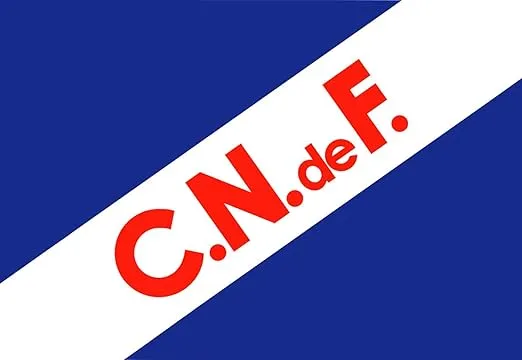 Bandera Club Nacional de Football